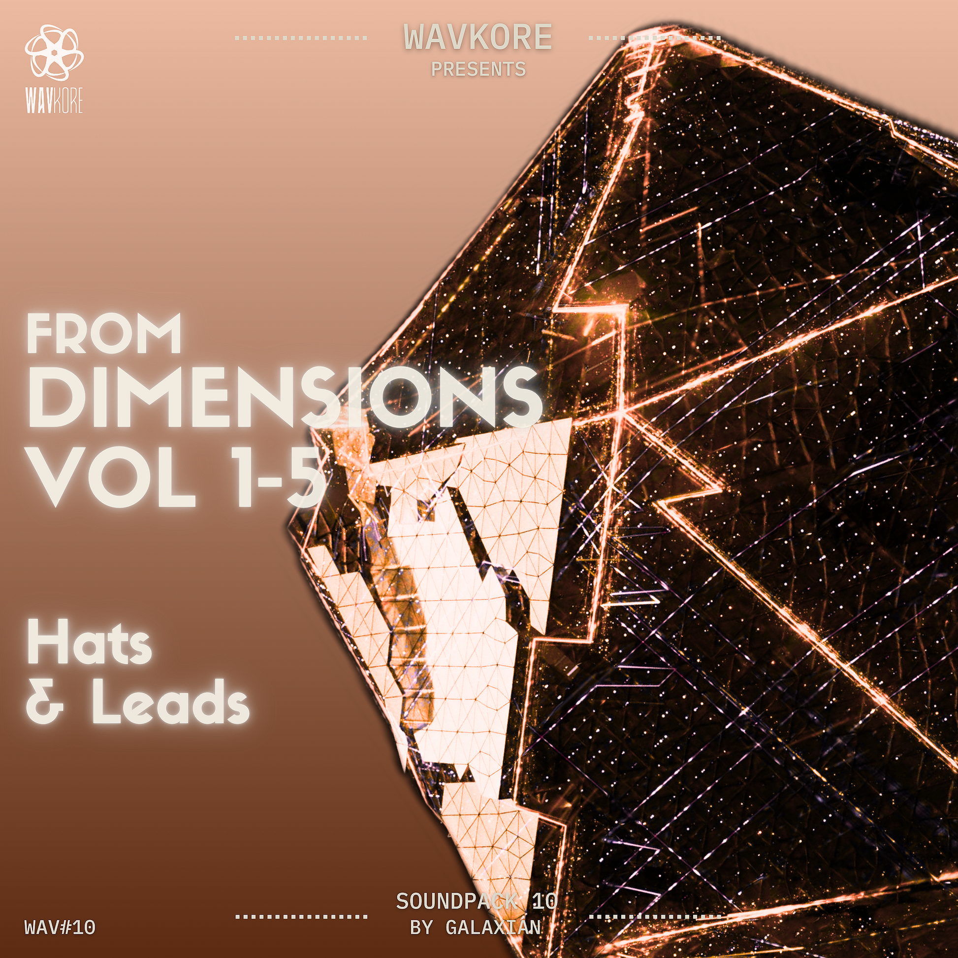 Orange infographic artwork displaying hats and lead content of 24-bit WAV sample pack WAV10