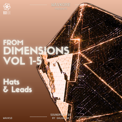 Orange infographic artwork displaying hats and lead content of 24-bit WAV sample pack WAV10