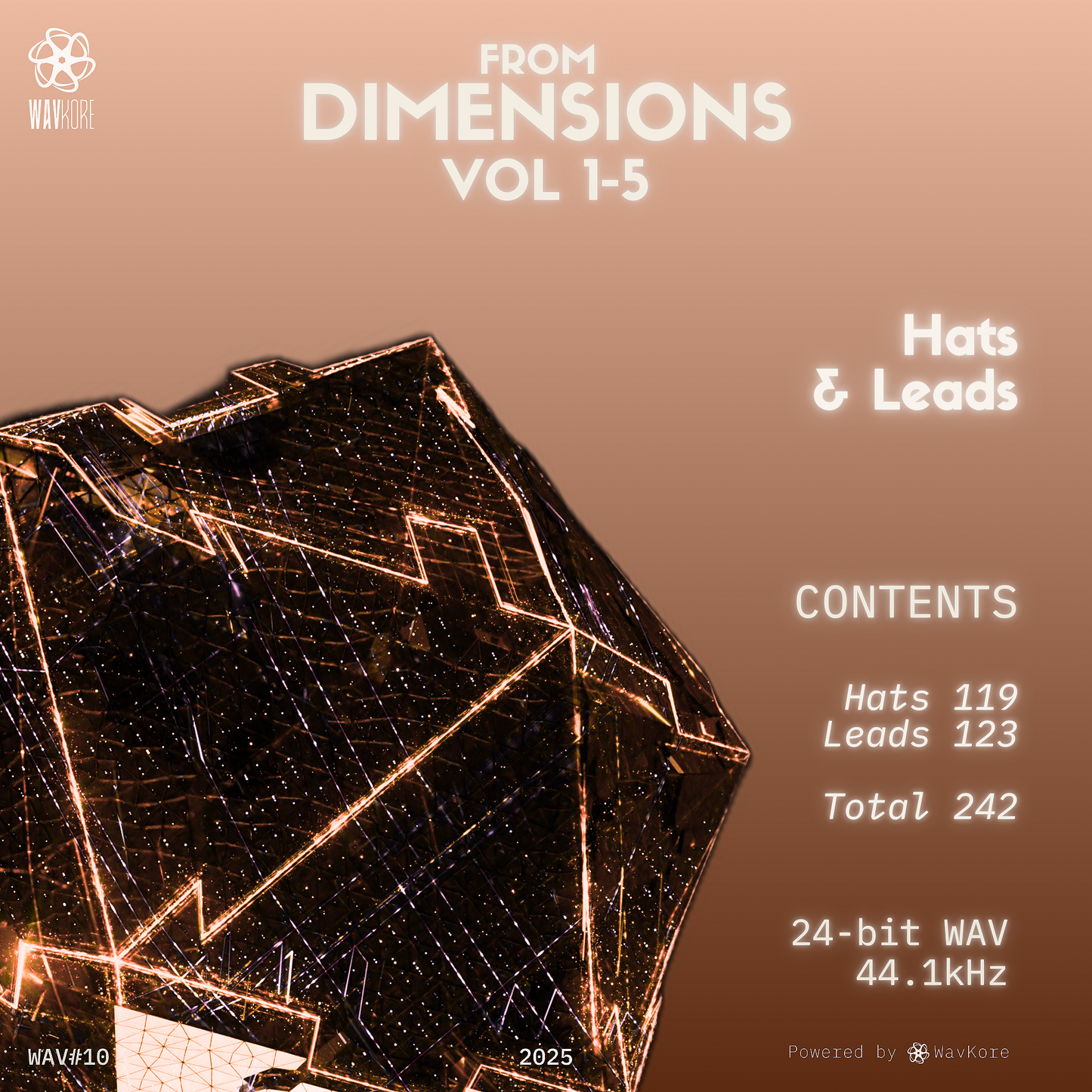 Orange infographic artwork displaying hats and lead 24-bit WAV sample pack contents WAV10