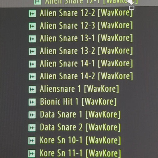 List of Visions samples while auditioning samples in FLstudio 